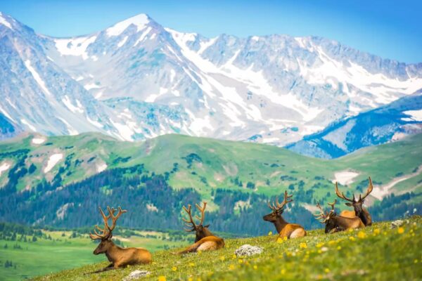 Top 10 Most Beautiful States in America Ranked