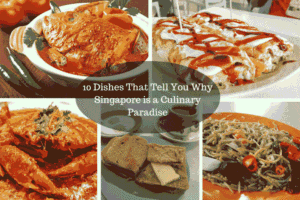 Top 10 Most Delicious Singapore Dishes