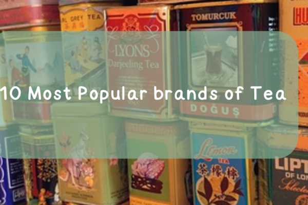 Top 10 Most Popular Tea Brands You Should Try