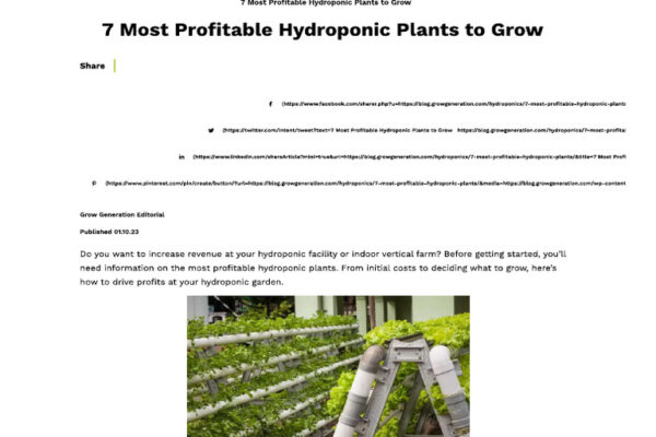 Top 10 Most Profitable Plants to Grow for Maximum Income