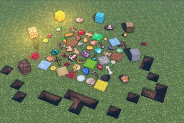 Top 10 Most Rare Minecraft Items Ever Discovered