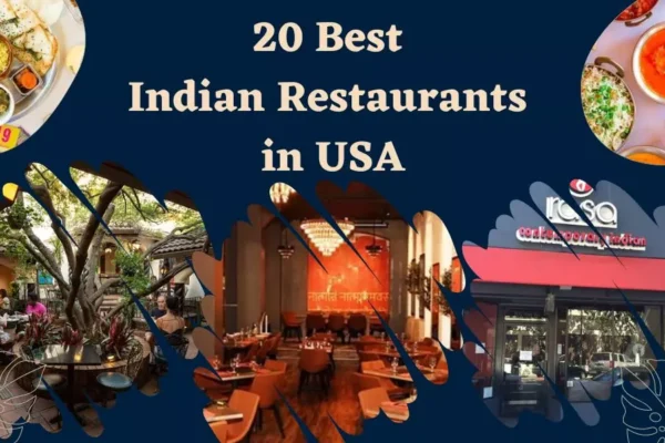 Top 10 Best Indian Restaurants in the USA