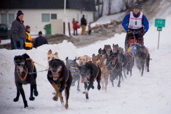 Top 10 Attractions in Alaska & Anchorage – Wild Adventures