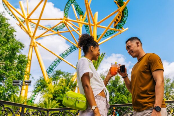 Top 10 Best Roller Coasters in the USA (Thrill List)