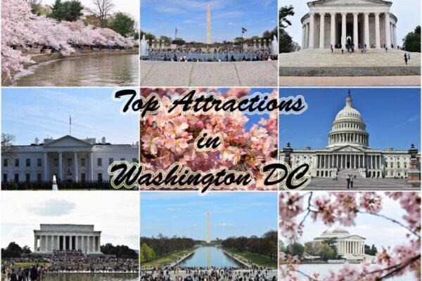 Top 10 Must-Visit Places in Washington DC