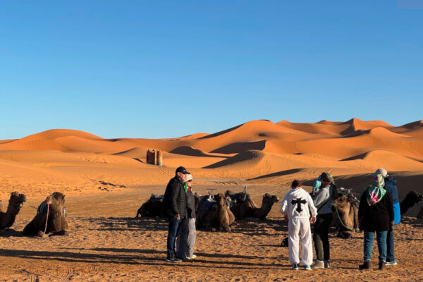 Marrakech’s Top 10 Attractions You Must See in 2026