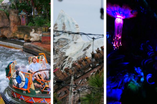 Top 10 Best Rides at Animal Kingdom Revealed