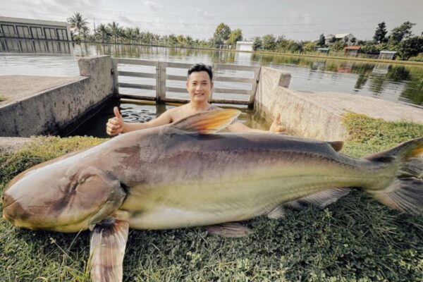 Top 10 Biggest Fish Ever Caught – Bass & Catfish Monsters