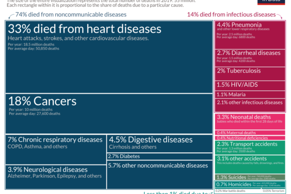 Top 10 Causes of Death in the US & World – Shocking Stats 2026