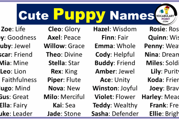 Top 10 Best Names for Puppies