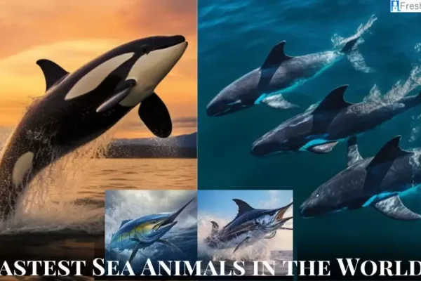 Fastest Sea Creatures Top 10 – Jaw-Dropping Underwater Speed Demons