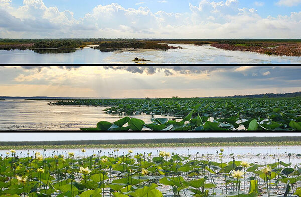 Top 10 Largest Lakes in Florida