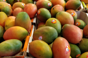 Top 10 Mango Varieties in the World Ranked