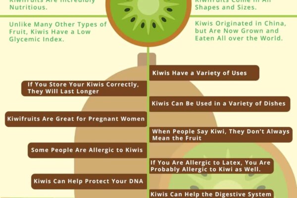 Top 10 Facts About Kiwi Fruit That Surprise Everyone