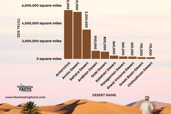 Top 10 Largest Deserts in the World Ranked