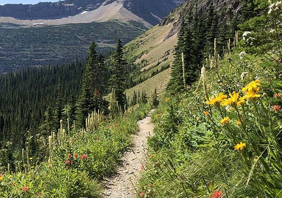 Glacier National Park’s Top 10 Spots You Can’t Miss