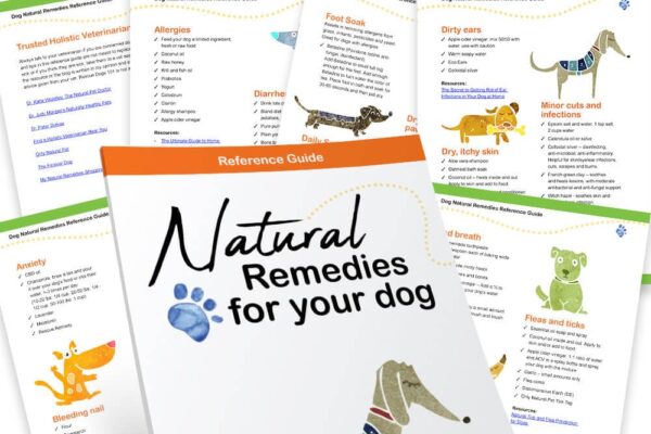 Top 10 Natural Home Remedies for Dogs