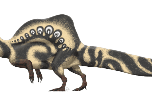 Top 10 Largest Carnivorous Dinosaurs Ever