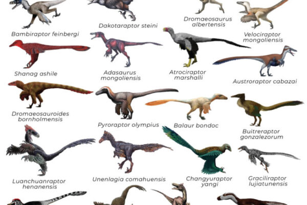 Top 10 Biggest Land Animals & Raptor Dinosaurs Ranked