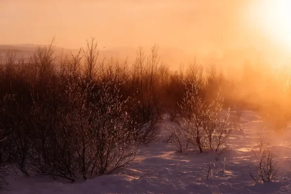 Top 10 Coldest Countries in the World