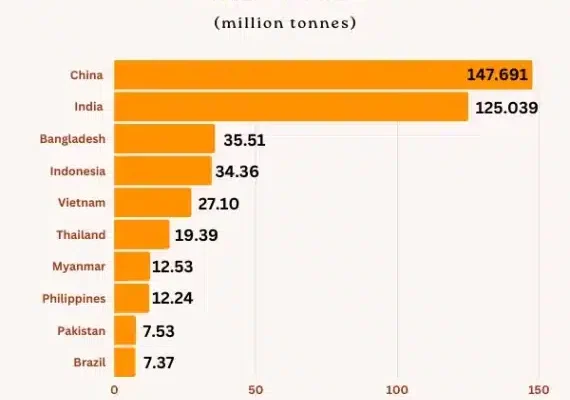 Top 10 Rice Producing Countries Feeding the World