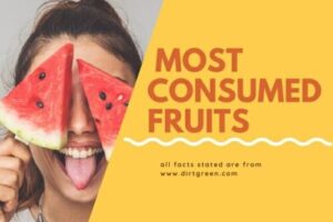 Top 10 Most Consumed Fruits in the World