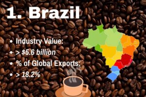 Top 10 Coffee Exporters Dominating the Global Market
