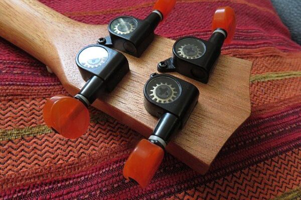 Top 10 Easiest Instruments to Learn Quickly