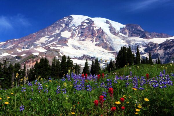 Washington State Top 10 Things to See