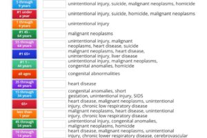 Top 10 Leading Causes of Death in the US