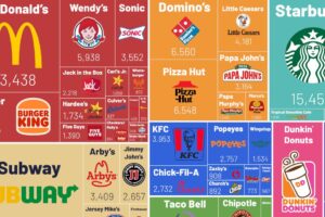 Top 10 Most Profitable Fast Food Franchises Ranked