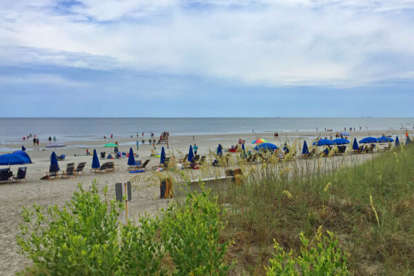 Hilton Head’s Top 10 Attractions for Beach Lovers