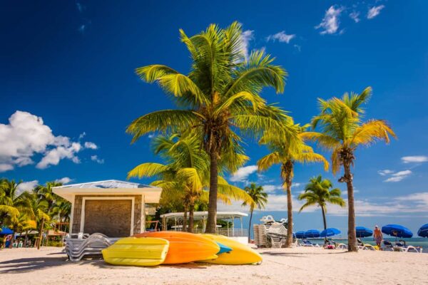 Top 10 Places to Visit in Florida for the Ultimate Vacation