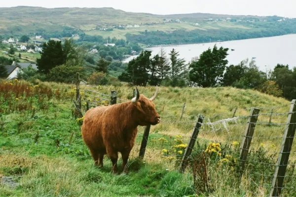 Top 10 Must-Visit Places in Scotland for Stunning Landscapes