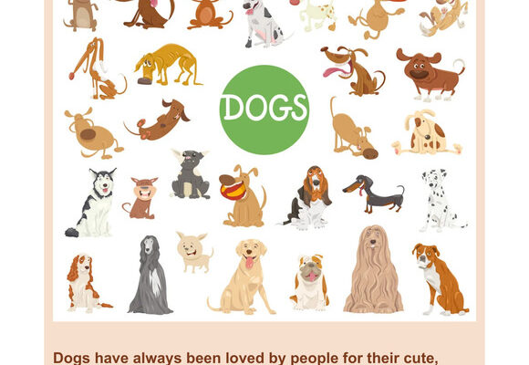 Top 10 Most Popular Dog Breeds (2026 Ranking)