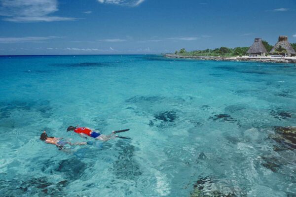Top 10 Attractions in Cozumel You Must Visit