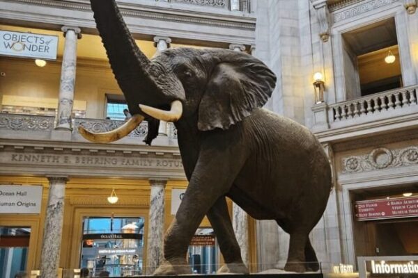 Top 10 Best Museums in Washington DC Ranked