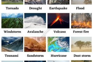 Top 10 Natural Disasters That Changed the World