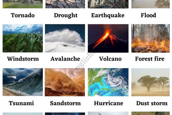 Top 10 Natural Disasters That Changed the World