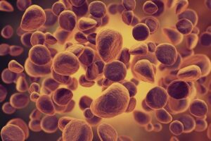 Top 10 Deadliest Cancers You Should Know