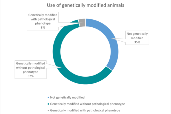 Top 10 Genetically Modified Animals Explained
