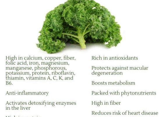 Top 10 Health Benefits of Kale You Should Know