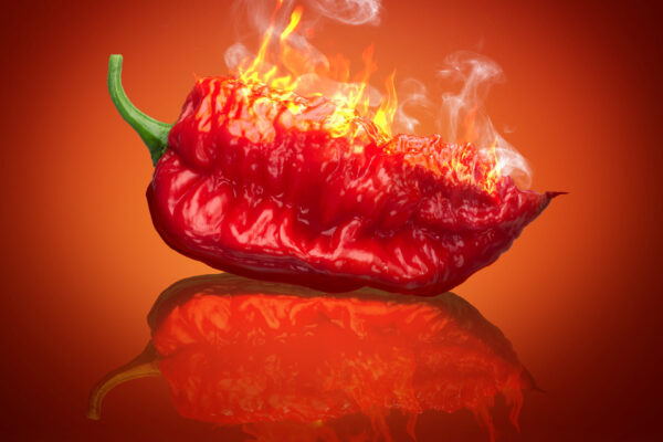 Top 10 Hottest Chili Challenges Ever Created