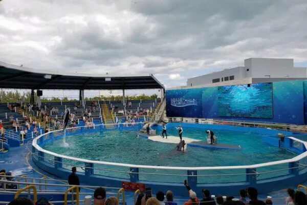 Miami Top 10 Things to Do for Ultimate Fun