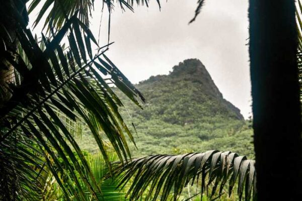 Top 10 Places in Puerto Rico That Are Stunning