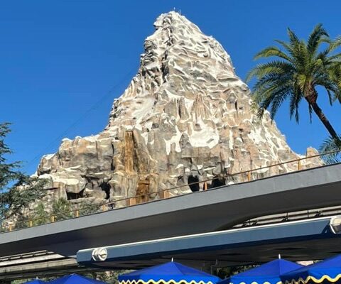 Disneyland California’s Top 10 Rides That Will Thrill You