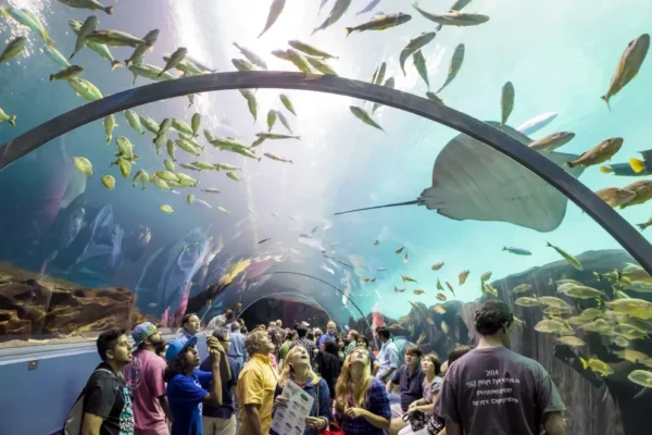 Atlanta GA Top 10 Attractions You Didn’t Expect