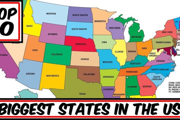 Top 10 Largest States in the USA Ranked