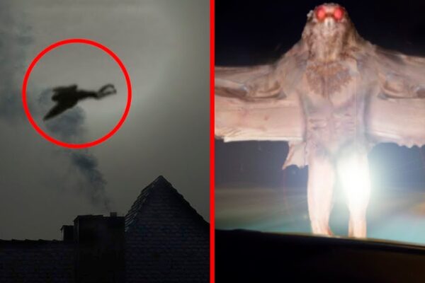 Top 10 Scariest Creatures Ever Discovered