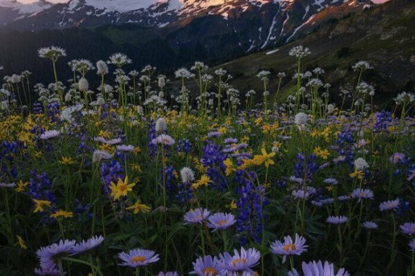 Top 10 Most Beautiful Places on Earth You Can’t Miss